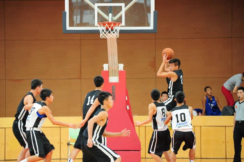 新1